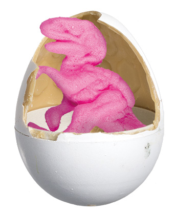 恐竜のたまご Amazon.co.jp: Dinosaurs From Eggs When Put In Water